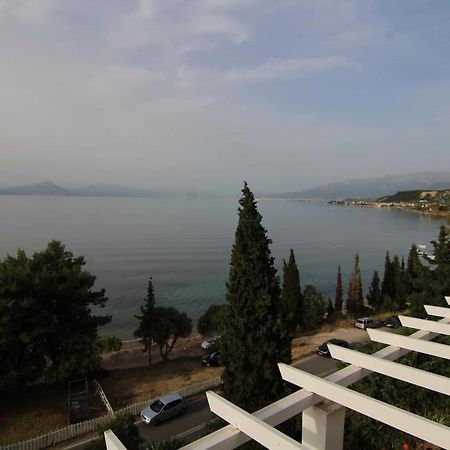 Sea Side Villa Alexandra Alissos Exteriér fotografie